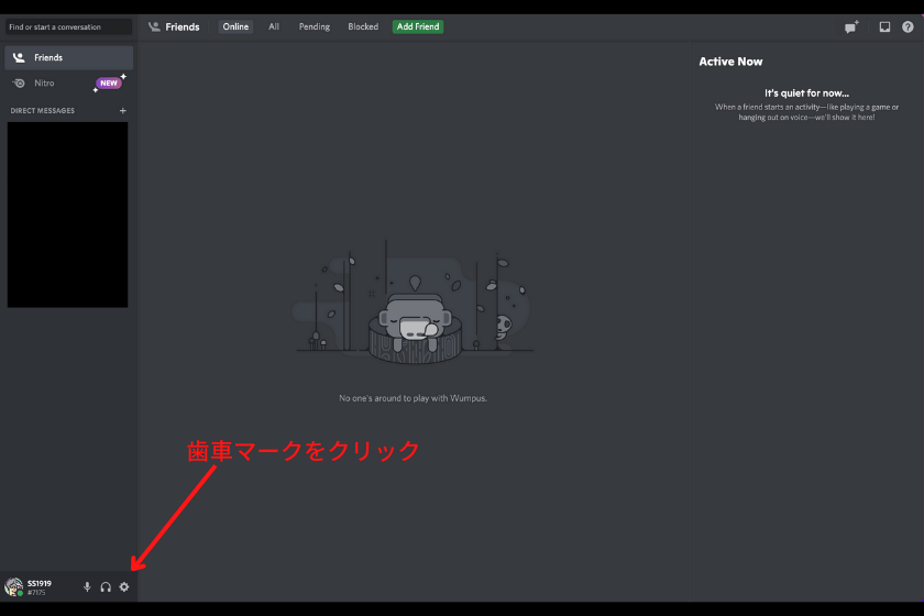 画像③：Discord(ディスコード)使い方「初期設定」