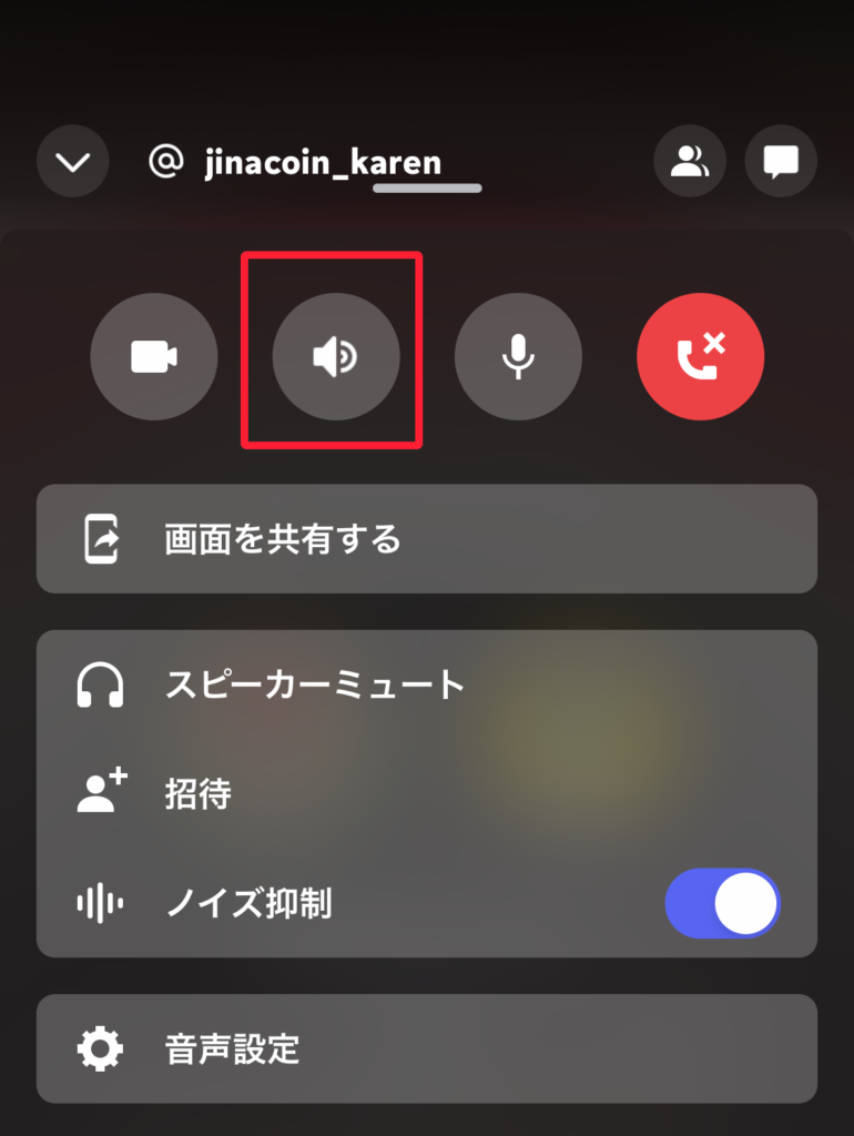 discord スピーカー通話